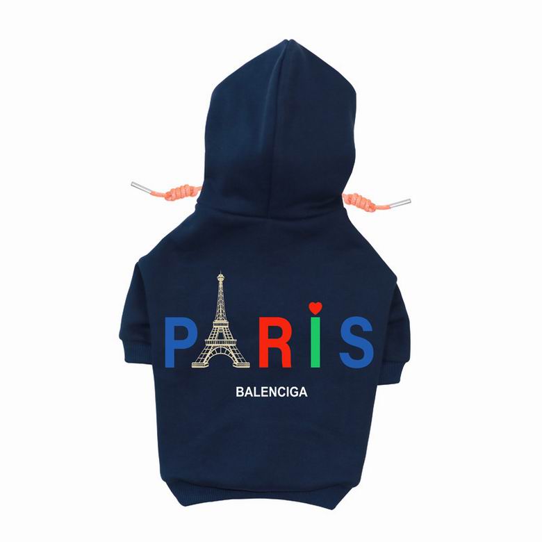BLC Back Hoodie