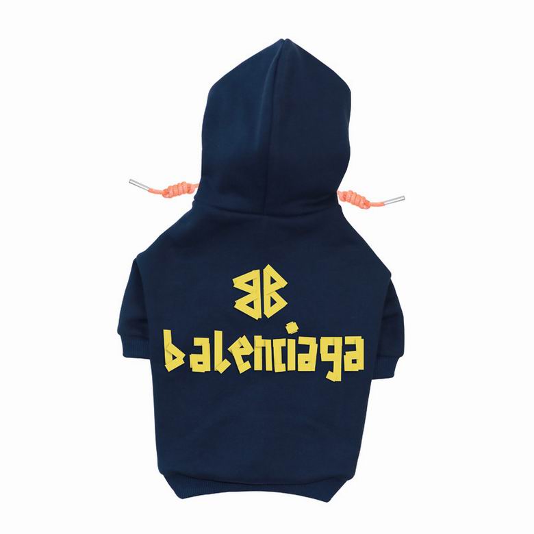 BLC Back Hoodie