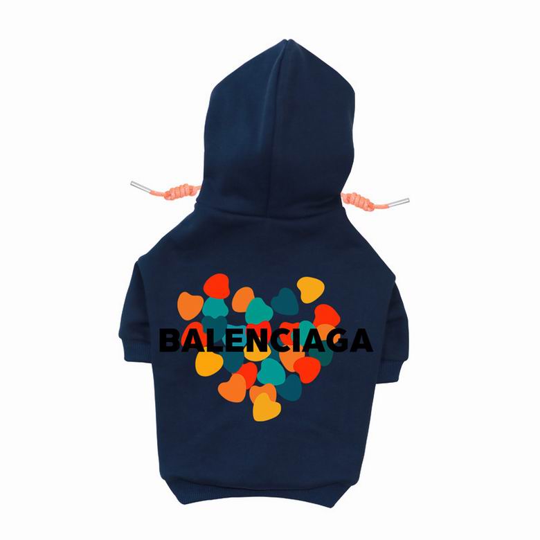 BLC Back Hoodie