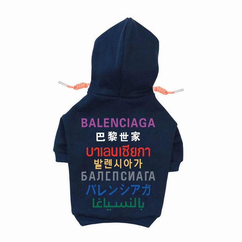 BLC Back Hoodie