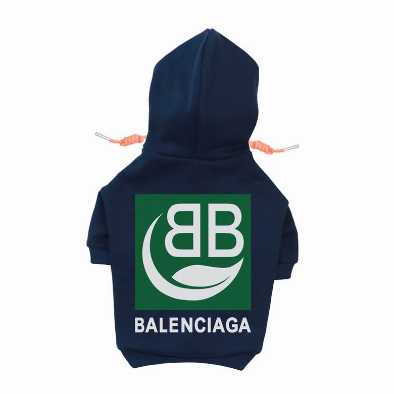 BLC Back Hoodie