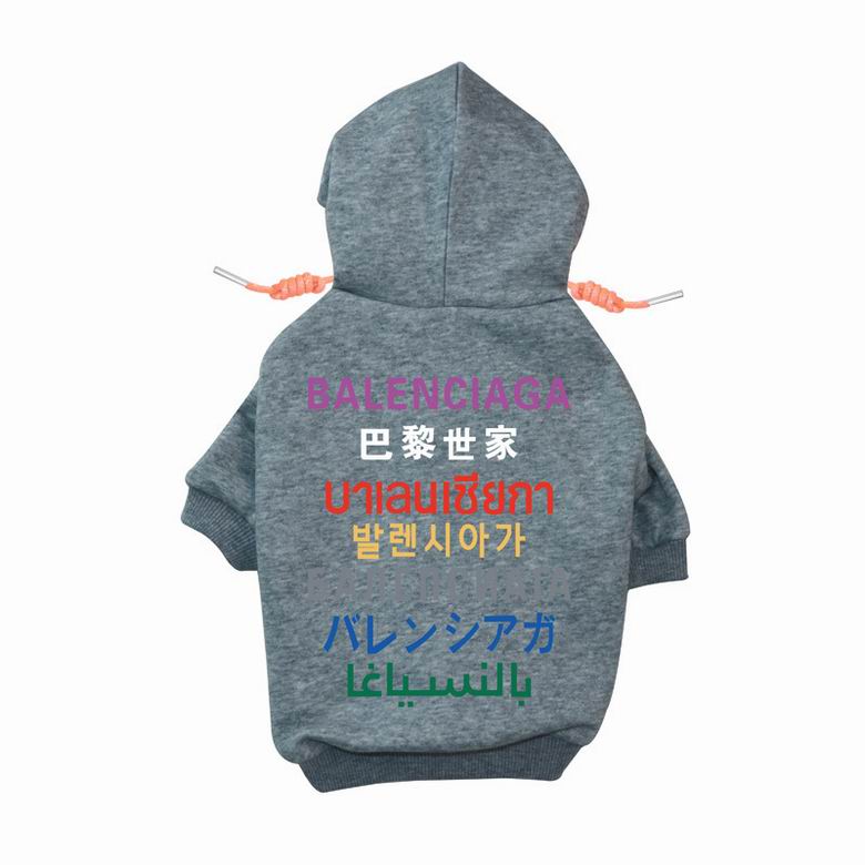 BLC Back Hoodie
