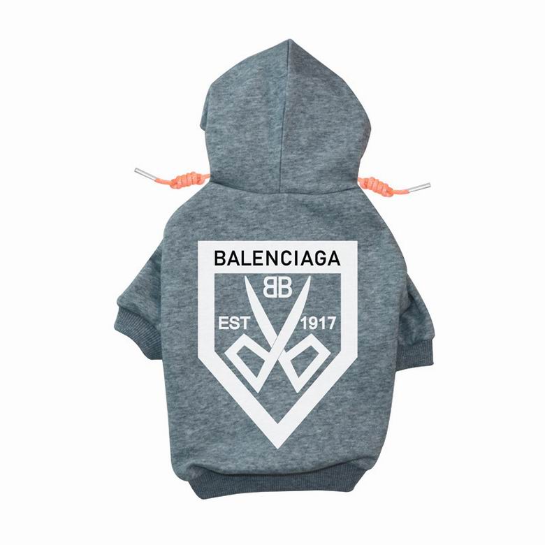 BLC Back Hoodie
