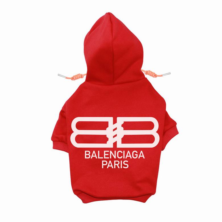 BLC Back Hoodie
