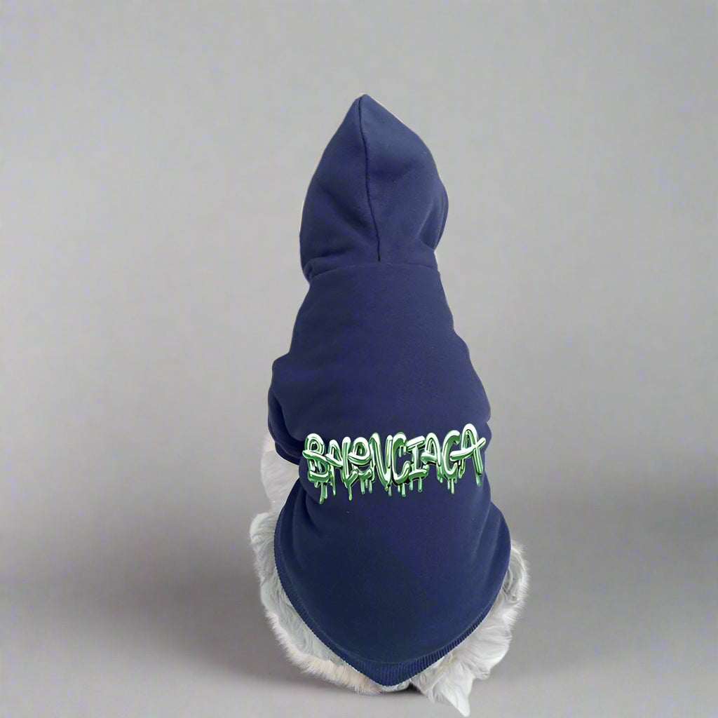 BLC Back Hoodie