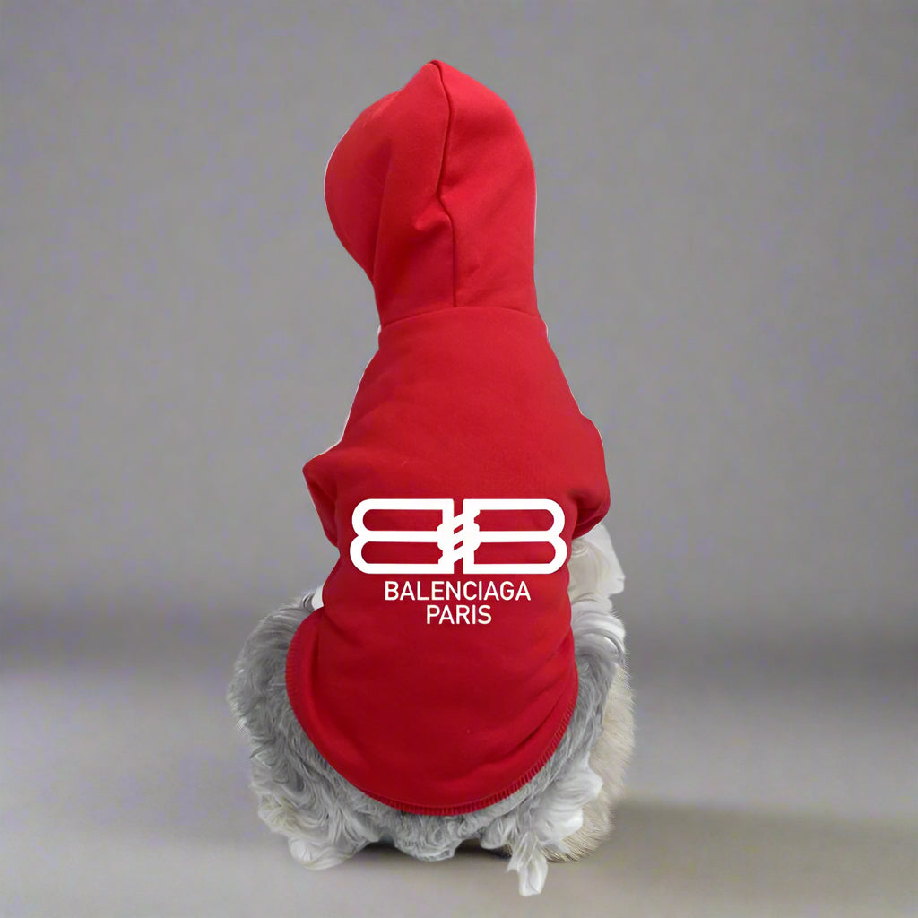BLC Back Hoodie