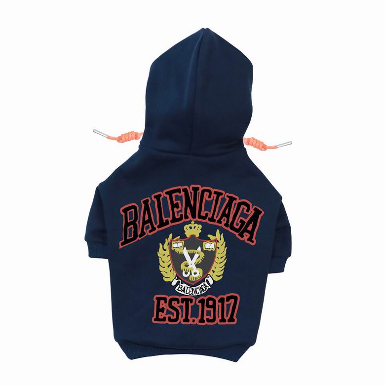 BLC Back Hoodie
