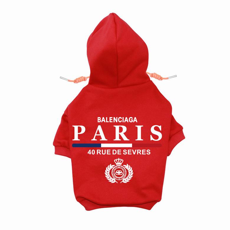 BLC Back Hoodie