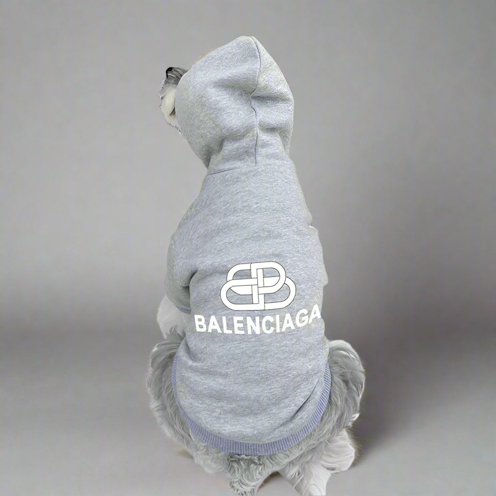 BLC Back Hoodie