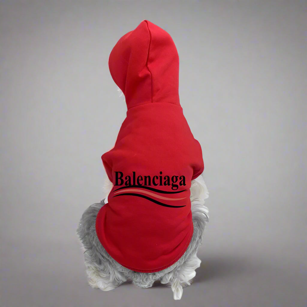 BLC Back Hoodie