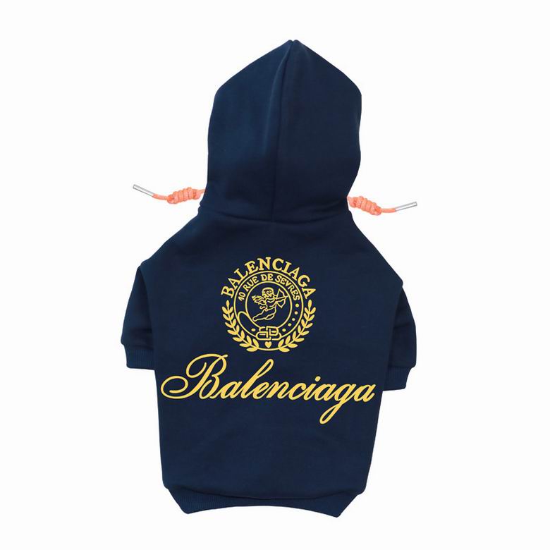 BLC Back Hoodie