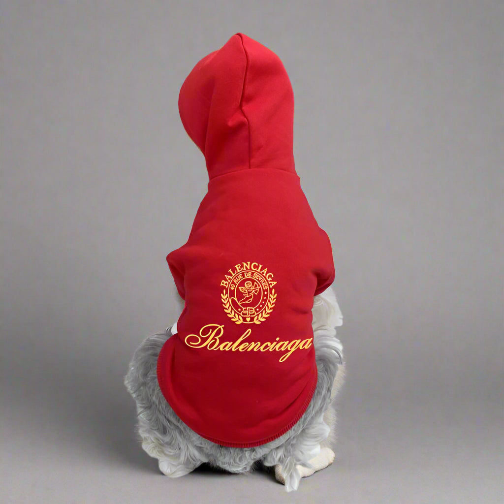 BLC Back Hoodie