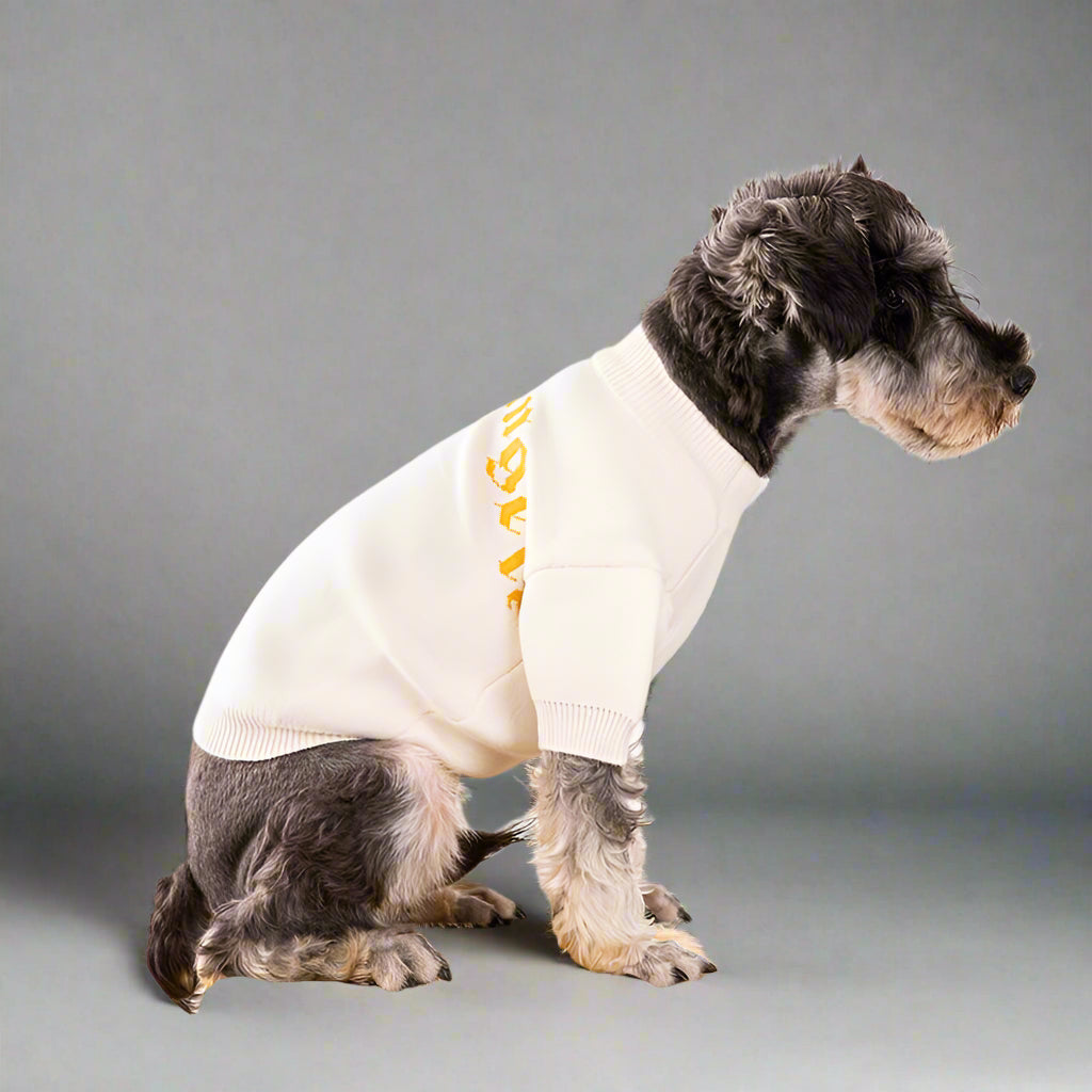 PLM ANGELS Sweatshirt