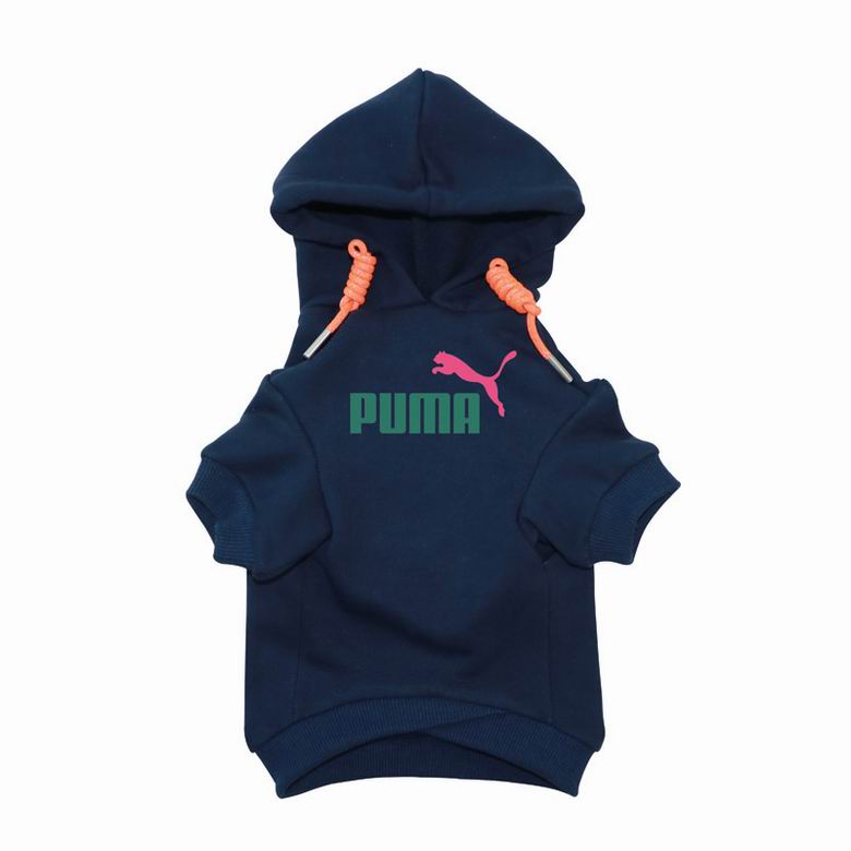 PMA Front Hoodie