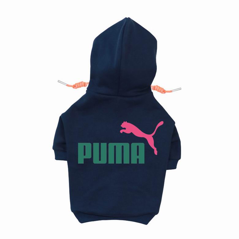 PMA Back Hoodie