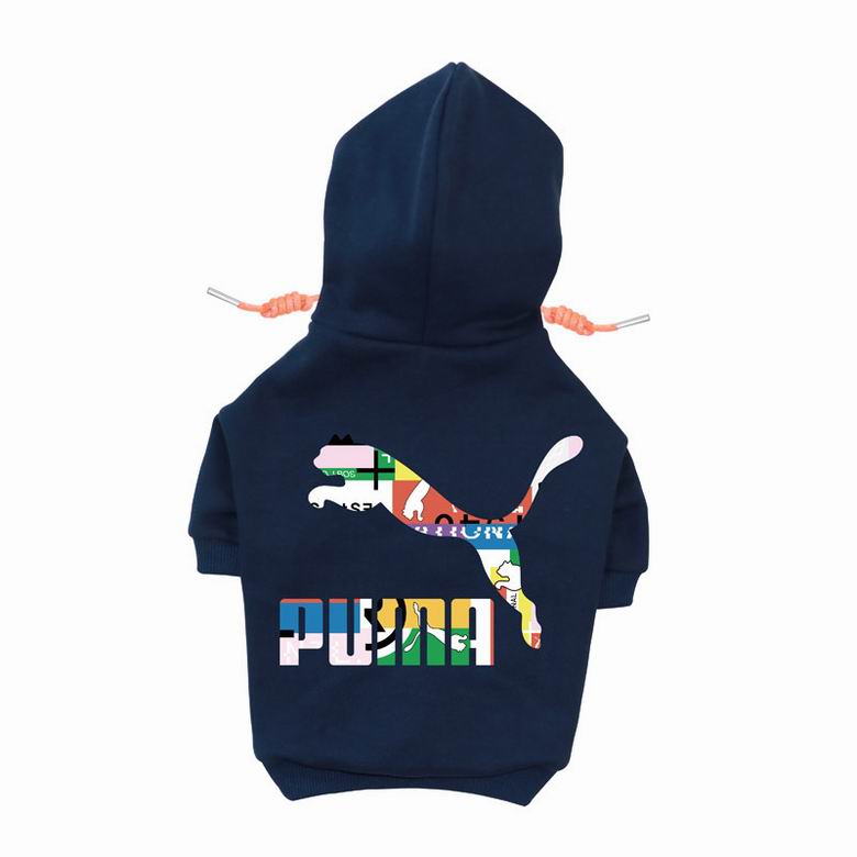 PMA Back Hoodie