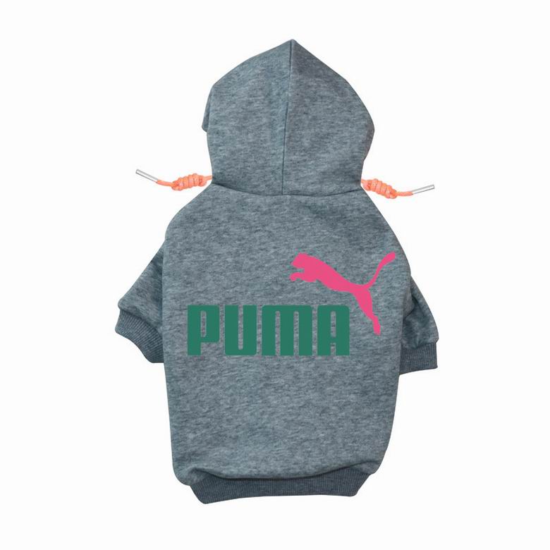 PMA Back Hoodie