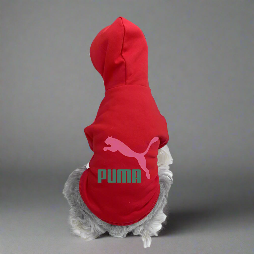 PMA Back Hoodie